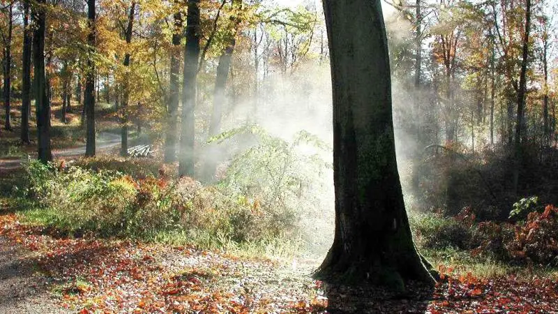 Nf Plus, Agri Nord og LandboNord, er gået sammen for at få mere indflydelse på udformningen af den planlagte Nationalpark Tranum i Jammerbugt Kommune. Arkivfoto