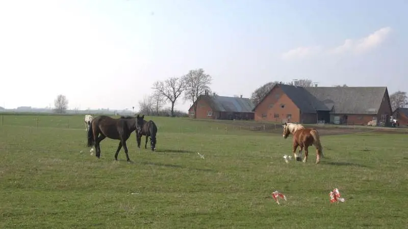 Når et landbrug eller en landejendom generationsskiftes, er korrekte anvendelseskoder for bygningerne væsentligt. Det samme gælder, at der er styr på alle landzonetilladelser, påpeger ejendomsmægler. Arkivfoto