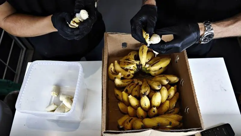 - Vi laver et samarbejde, hvor vi aftager en masse af deres spildbananer, producerer produkter på baggrund heraf, og så er vi en del af kæden, der er med til at gøre en forskel, siger Christian Cordius, stifter og direktør af Banana Cph. Fotos: Banana Cph