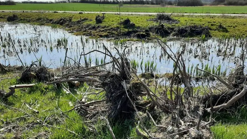 Landboforening og kommune giver penge til biodiversitet