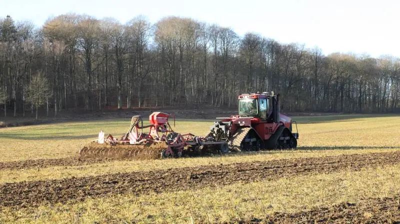 Siden 2012, hvor Margård Gods blev pløjefrit, har Per Bo Hansen kørt med sin Case IH Quadtrac med bælter og en 6-meters Horsch Terrano FM harve. Her harves der efterafgrøderester ned på en vinterdag med frost, inden der skal sås engrapgræs som udlæg i ærter og lidt byg, som ærterne kan vokse op ad.