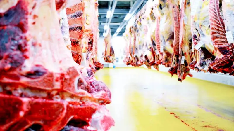 Kreaturnoteringen hos Danish Crown Beef står stille.