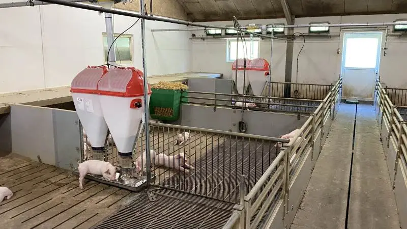 Ifølge Daltec kan man med deres portionsfodringsanlæg nemt arbejde med glidende overgange mellem fodertyperne/blandingerne. Fotos: Daltec