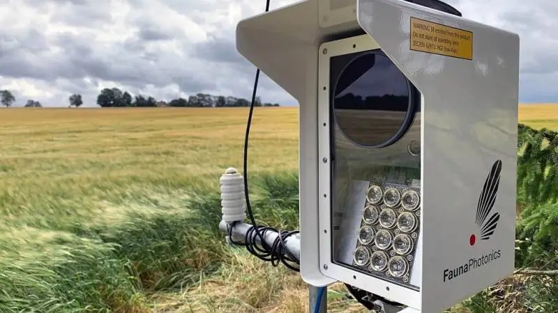 Miljøstyrelsen siger nu god for FaunaPhotonics som sensor-udstyr, der kan melde om flyvning af rapsjordlopper og glimmerbøsser i vinterraps. Foto: Syngenta