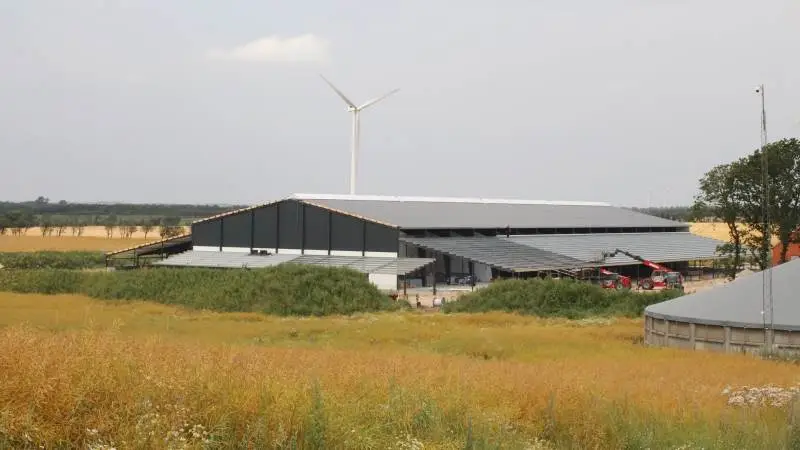Entreprenørvirksomheden Hansen & Larsen får stort set ingen forespørgsler fra griseproducenter på nye opgaver. Til gengæld oplever de stor interesse fra kvæg- og mælkeproducenter. Foto: Arkivfoto