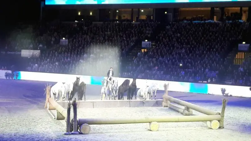 Det traditionsrige Gallashow i forbindelse med Hest & Rytter plejer at være et flot skue. Arkivfoto