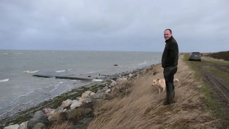 En vigtig del af landbrugsdriften hos Agrifos er vedligeholdelse af driftsfællesskabets 13 kilometer dige- og kystlinje ud mod Langelandsbæltet. Fotos: Bøje Østerlund