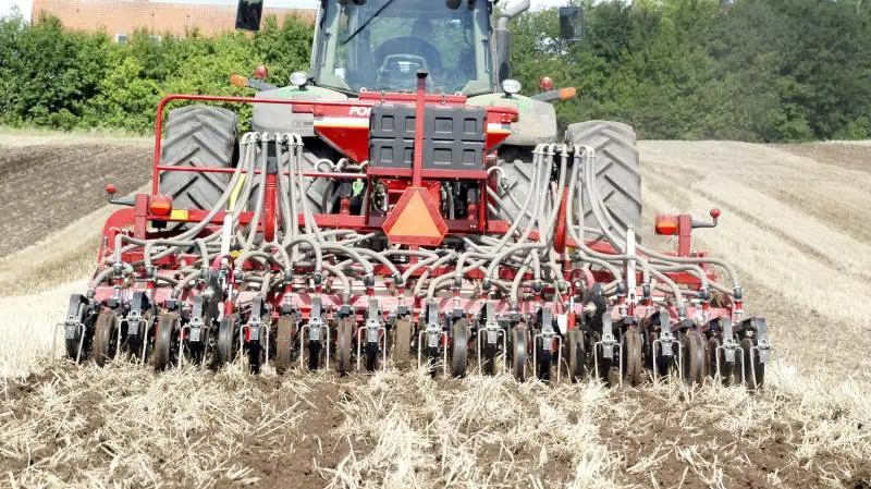 Ifølge AgroMarkets risikerer man som køber af såsæd at blive mødt med beskeden om, at det ikke er muligt at fastsætte en pris lige nu. Det skal man dog ikke finde sig i, lyder rådet fra markedseksperterne. Arkivfoto