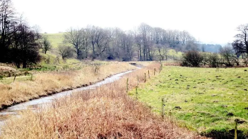 På Agri Nord-kongressen i sidste måned var der blandt andet fokus på forskellige tilskudsmuligheder, som kan fremme naturen. Arkivfoto