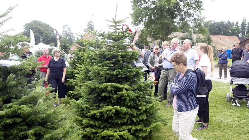 Hver den tredje torsdag i august samles fagfolk i juletræsbranchen fra hele Europa til Langesømessen ved Odense. 130-140 udstillere er på langs skovvejene ved Langesø Slot og den store sø ved slottet.