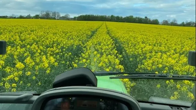 Hvilke IPM-tiltag er der foretaget i det seneste år? Nu er det tid at fortælle dette.