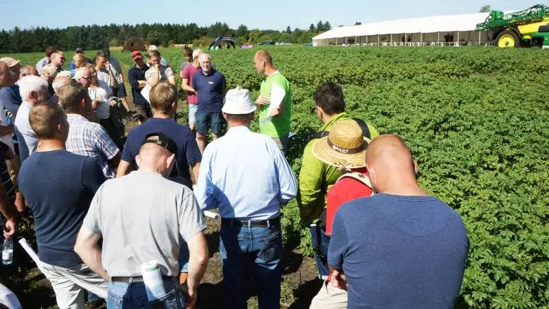 Omkring 230 var mødt op, da Sagro sammen med Lemvigegnens Landboforening, KMC og Ytteborg holdt kartoffeldag 2018 i Arnborg.
