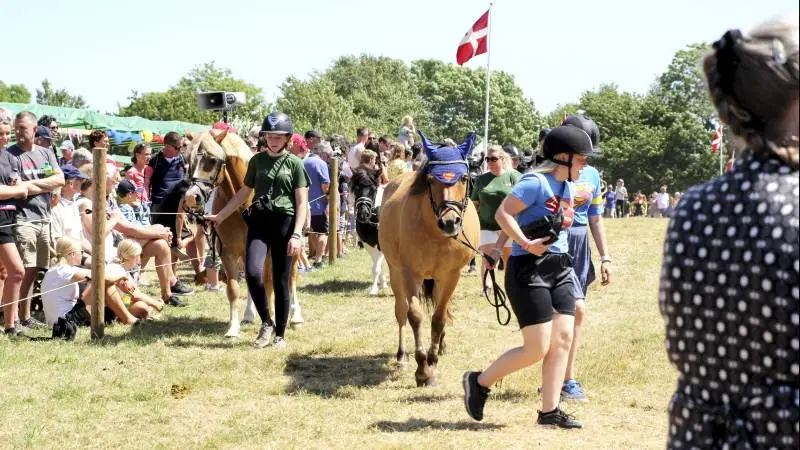 I slutningen af juni er der - efter to års pause - atter børnedyrskue i Piberhusfolden ved Haslev. Foto: Jesper Hallgren