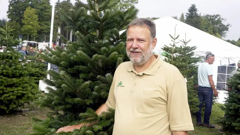 - Den lange tørkeperiode har givet en afdæmpet vækst, så farven på nålene er rigtig markant, og skuddene på træerne er ikke så lange, siger direktør Claus Jerram Christensen, Danske Juletræer, og glæder sig over årets flotte juletræer. Fotos: Erik Hansen