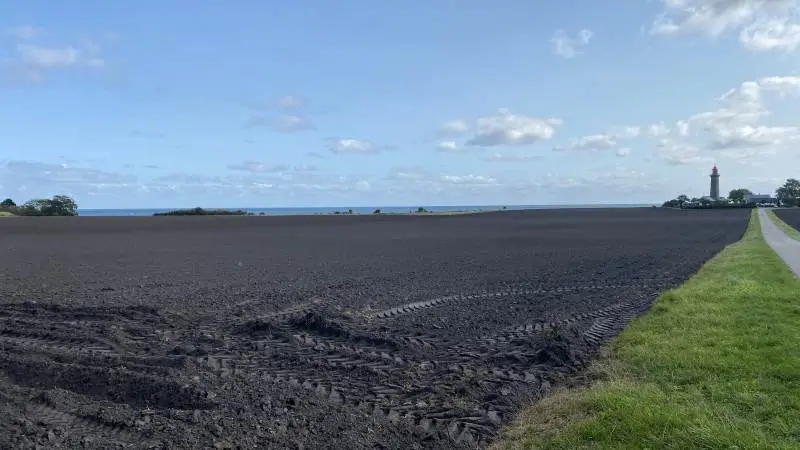 Bedriftsbesøg med fokus på vildt, strandenge og natur