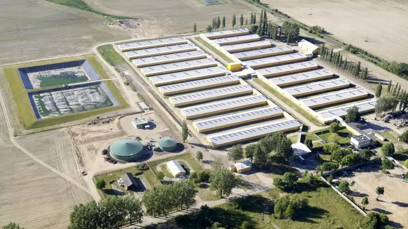 Danskejede Goodvalley A/S, der blandt andet driver flere landbrug i Polen, hvor billedet er fra, har netop leveret et regnskab med et stabilt resultat. Arkivfoto: Goodvalley