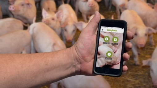 - Grisefokus er et værdifuldt supplement til vores sofoderkoncept. Værktøjerne hjælper til at optimere landmandens foderstrategi, så han opnår det optimale afkast på sine investeringer i foder. Grisefokus indeholder blandt andet et beregningsværktøj, som hjælper til at optimere foderstrategien i klimastalden med en styret fasefodring, forklarer Arne Ringsing.