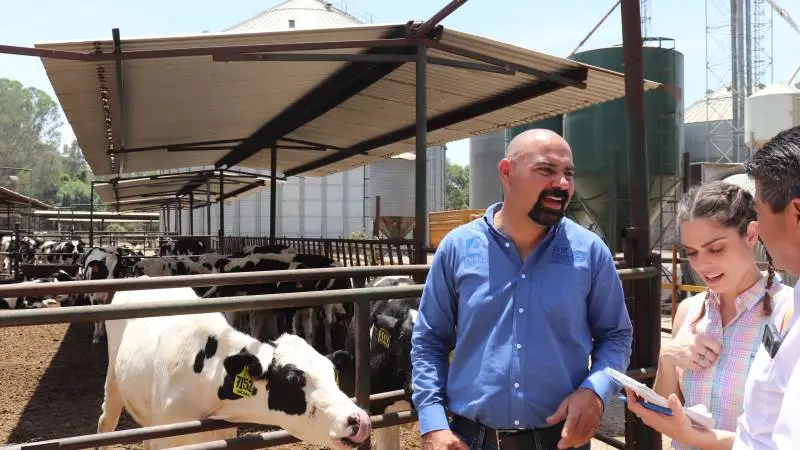 De mexicanske andelsselskaber har haft enorm betydning for udviklingen af de mexicanske landmænd - her på andelsselskabet Prolea, der blandt mange aktiviteter også har et avlsprogram for holstein malkekvæg. Fotos: Jørgen P. Jensen