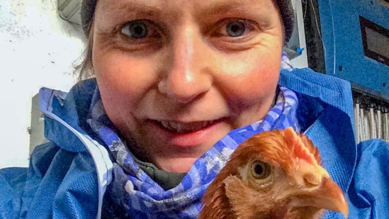 Økologiske fjerkræproducenter kan have stor gavn af at etablere overdækket opbevaring til gødningen fra høns og kyllinger. Lige nu er der tilskud til investeringen.