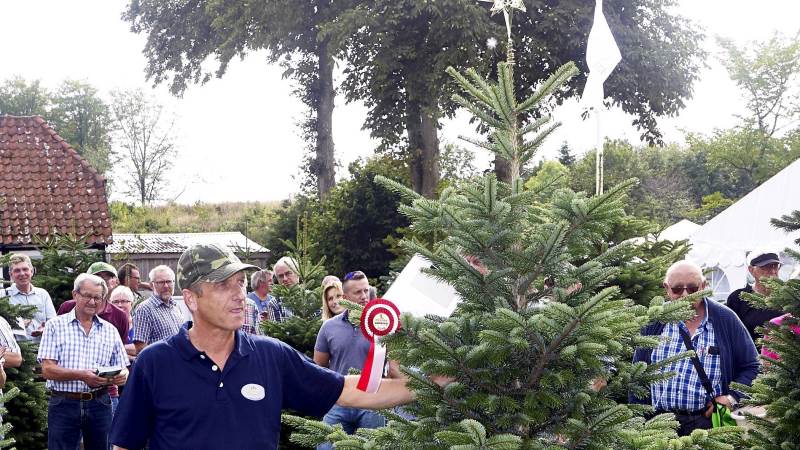 Ebbe Bach fra Maglesø Plantage ved Holbæk viser årets flotteste nordmannsgran på Langesømessen. Den sjællandske plantage havde også leveret det bedste træ inden for andre arter.