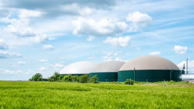 Ifølge Dansk Industris Energiafdeling bør man rykke udbud på biogas frem før end planlagte 2024. Arkivfoto