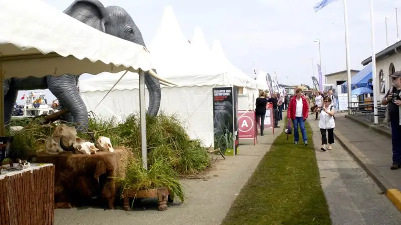 Naturmødet 2017 i Hirtshals. Foto: Anne Kjærsgaard Krogh