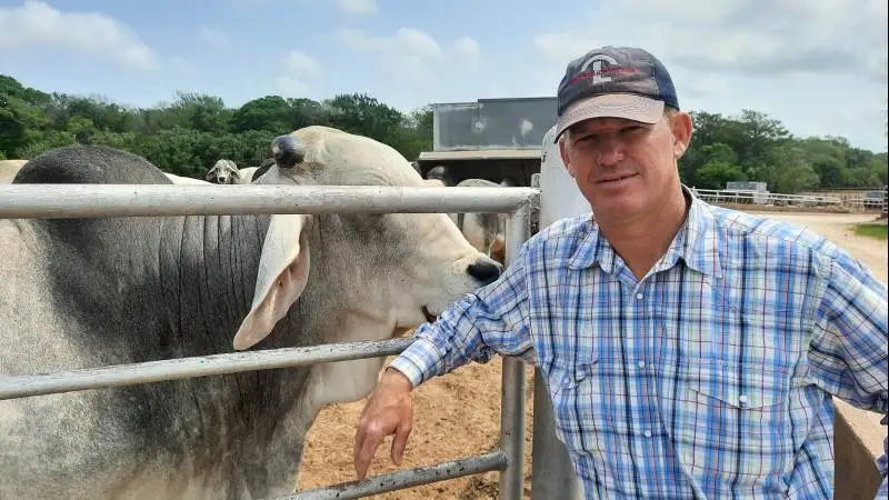 - Det bedste ved at bruge Brahman til fremavl af kødkvæg er, at de genetisk er meget forskellige fra alle andre racer. Så krydsningsfrodigheden er meget stor, påpeger John Locke. Fotos: Jørgen P. Jensen