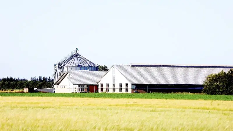 Samlet er gælden i dansk landbrug faldet med 50 milliarder kroner på ti år. Til gengæld var dansk landbrugs egenkapital 213 milliarder kroner i 2008 – og kun 131 milliarder kroner her 12 år efter. Altså et fald på 82 milliarder kroner. Foto: Colourbox