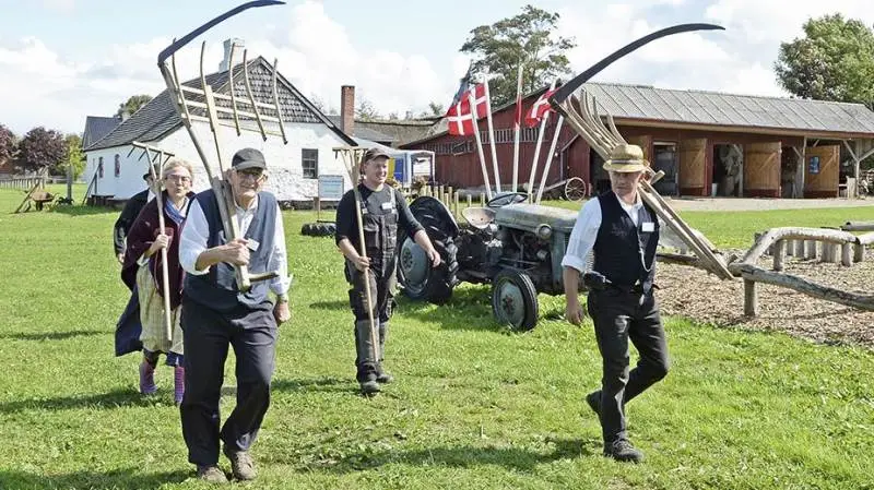 De frivillige på Hygum Hjemstavnsgård er klar til at gå i marken og demonstrere, hvordan man høstede i gamle dage.