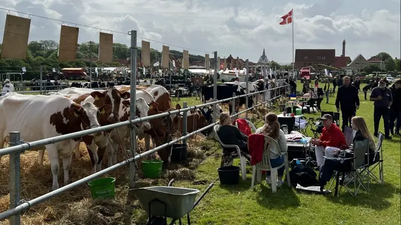 Både dyr og mennesker havde en god dag på dyrskuepladsen i Thisted. Fotos: Fjordland