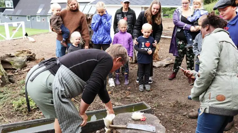 Ved det økologiske høstmarked på Labøllegaard fik børnene blandt andet at se, hvordan en høne slagtes.