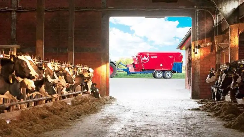 Landsskatteretten har afgjort, at kun i den situation, hvor en køreflade er en decideret tilkørselsrampe til staldbygningen, kan der godkendes straksfradrag for udgiften. Arkivfoto