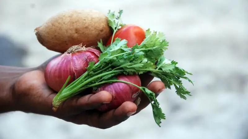 Nordea Agri & Food bliver navnet på den nye enhed, der kombinerer kundesegmenterne fra fødevareproduktion og landbrug. Målet er at klæde dem på til den grønne omstilling. Foto: Piqsels