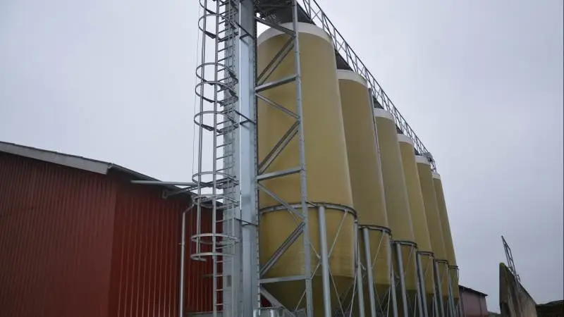 Der bør afdækkes foder frem til og med oktober, så man ved udgangen af juli er dækket tre måneder, lyder rådet fra AgroMarkets til sine kunder. Arkivfoto