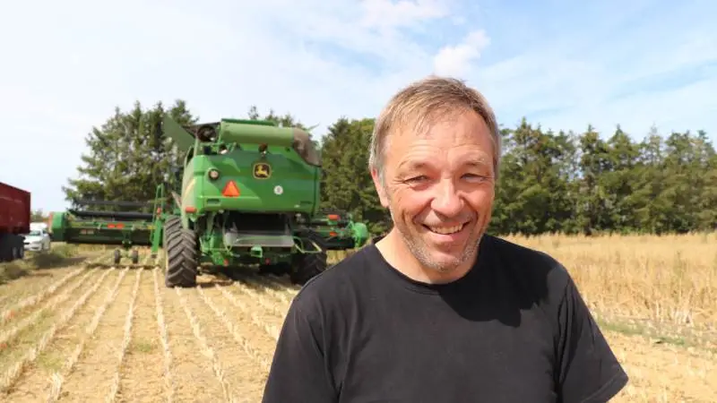 Fredag formiddag kom Henning Nielsen i gang med høsten af spinatfrøet. - Den ser moden ud. Og så er det bedst at få den hjem i laden at ligge. Der kan jo ske mange ting, siger han med et smil. Fotos: Jørgen P. Jensen
