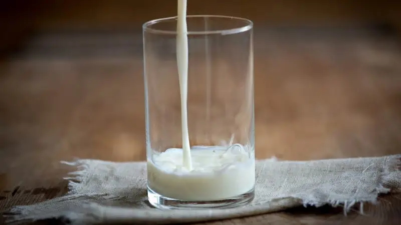 Lavere mælkeproduktion i Irland