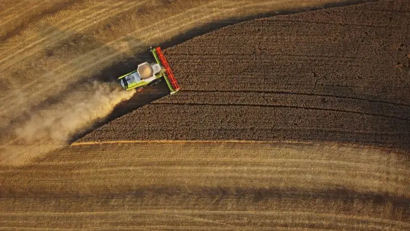 Forventningerne til årets samlede resultat justeres op med 10 millioner kroner, og driftsresultatet forventer at blive på mellem 45-85 millioner kroner, melder selskabet. Arkivfoto: FirstFarms