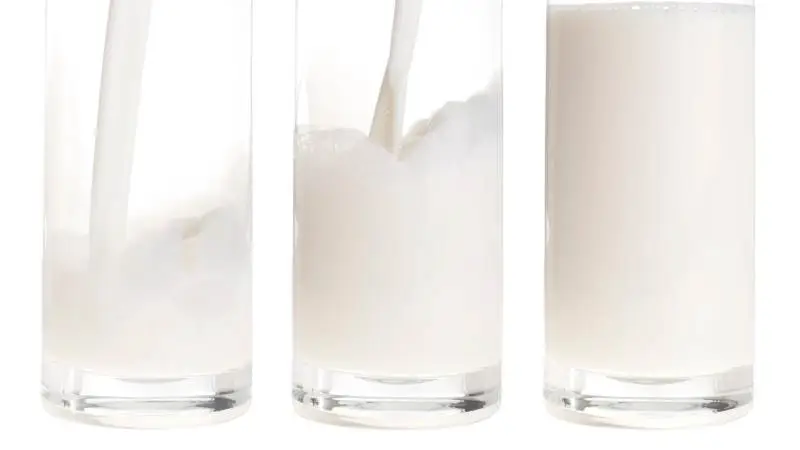 En ny mælkesyrebakterie kan bringe smagen af plantebaserede produkter tættere på den smørsmag, der er karakteristisk for mælkeprodukter, og som er den smag, vi kender i forvejen. Arkivfoto