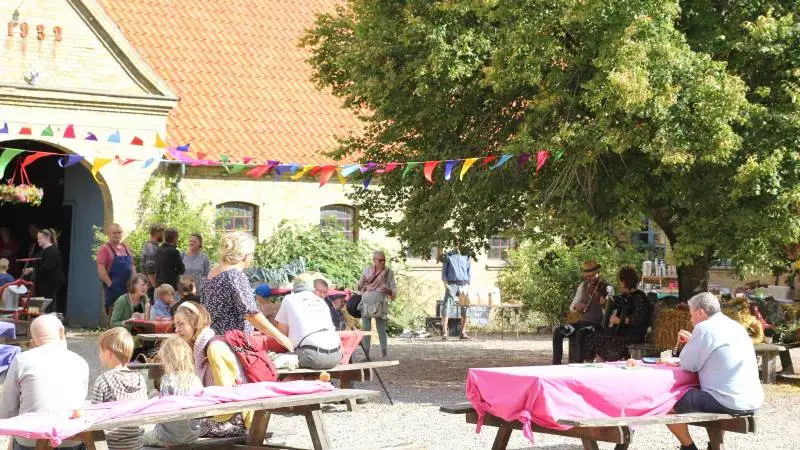 Sidste weekend var der Økologisk Høstmarked tre steder på Fyn. Et af dem var på Nørregaard i Ørsbjerg ved Aarup. Fotos: Henriette Lemvig