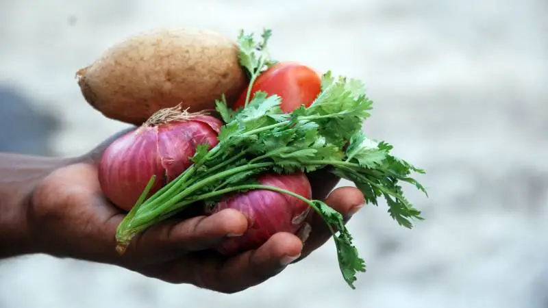Uanset om det gælder fødevarer skabt på planter eller cellulære proteinprodukter, er det ifølge GUDP-projektet Animal Free Protein vigtigt, at Danmark ikke sakker bagud i forhold til resten af Europa. Foto: Piqsels