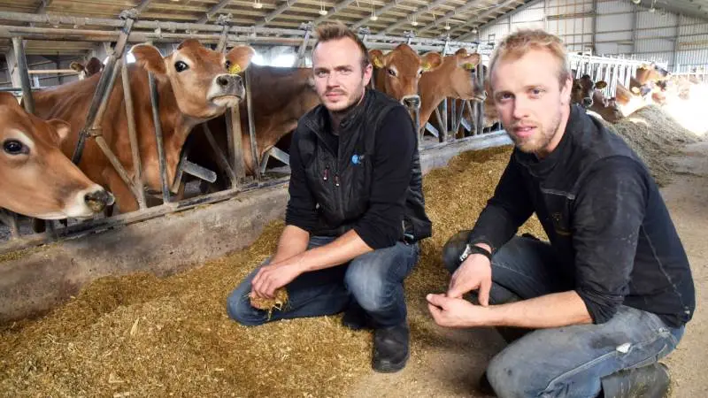 Et gårdråd er godt til diskussion og sparring, oplever brødrene Boe (tv.) og Per Østergaard, der ejer et I/S ved Andst, Vejen. Et gårdråd er imidlertid ikke noget for alle landmænd, mener de. Foto: Morten Ipsen