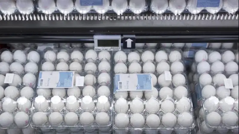 Der er i dag syv producenter inden for burægproduktion i Danmark, og disse står for næsten hver femte æg, der produceres i Danmark. Langt de fleste supermarkeder har stoppet salget af buræg, men de er fortsat brugt blandt restaurationer, kantiner, fødevareproducenter og medicinalvirksomheder. Arkivfoto