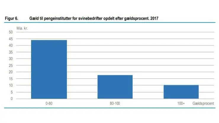 Som diagrammet viser, er ni procent af de danske svineproducenter teknisk insolvente med en gæld på over 100 procent. Kilde: Danmarks Statistik