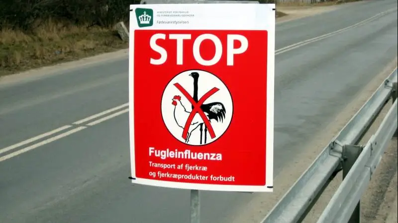 Arkivfoto