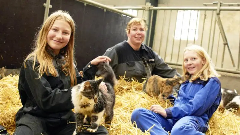 Københavnerpigerne Emilie Midtgaard Stjer (th) og Ester Andrea Angelo Heinberg har boet tre dage ved mælkeproducent Helle Jensen, som driver Espelund med 210 malkekøer i Himmerland sammen med hendes mand Henrik Jensen.
