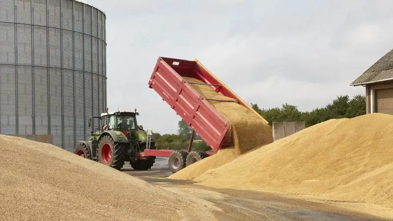 På trods af EU's bestræbelser på at øge kornproduktionen for at kompensere for den mangelsituation på landbrugsprodukter, der er opstået som følge af krigen mellem Rusland og Ukraine, er der sket det stik modsatte. Arkivfoto