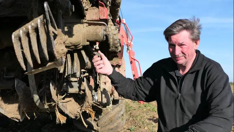 Roepilot Bjarne Kristensen viser her, hvordan den sædvanlige aftopper, der glider hen over roen, først skærer toppen af. Herefter har den nye maskine en række roterende gummistænger, der »slikker« det sidste top af og fører det ud til siderne. Fotos: Bøje Østerlund