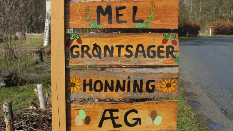 - De små, økologiske landbrug med et direkte salg lever bedre op til det billede, forbrugerne gerne vil have af, hvor deres fødevarer kommer fra, siger ØL’s landbrugs- og fødevarepolitiske chef, Sybille Kyed, om deres konkurrencevilkår i forhold til det konventionelle landbrug.
Foto: Arkivfoto