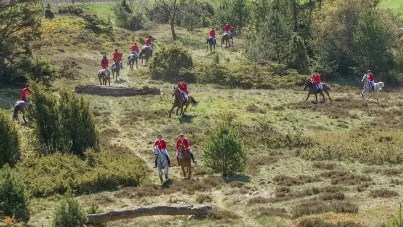 Den traditionsrige Hubertusjagt, der kendes for ryttere i elegante røde jakker, afholdes i ulige år på området omkring Gammel Estrup og Det Grønne Museum. Foto: Jysk Jagtrideklub