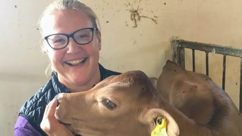Chefdyrlæge Anne Skovbjerg arbejder på at nedbringe dødligheden blandt køer.